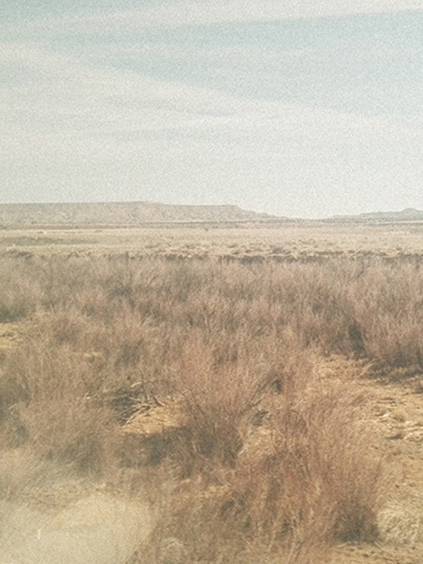 ON THE TRAIN ACROSS AMERICA for SPRING/SUMMER 18