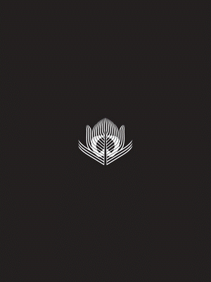 BERENIK BOUTIQUE & TALENTHOUSE - COMING SOON