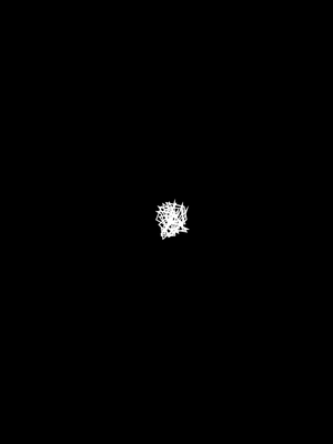 BERENIK BOUTIQUE N.Y. - coming soon!