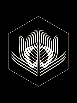 OPENING CEREMONY - 10TH OF JULY - BERENIK BOUTIQUE N.Y.