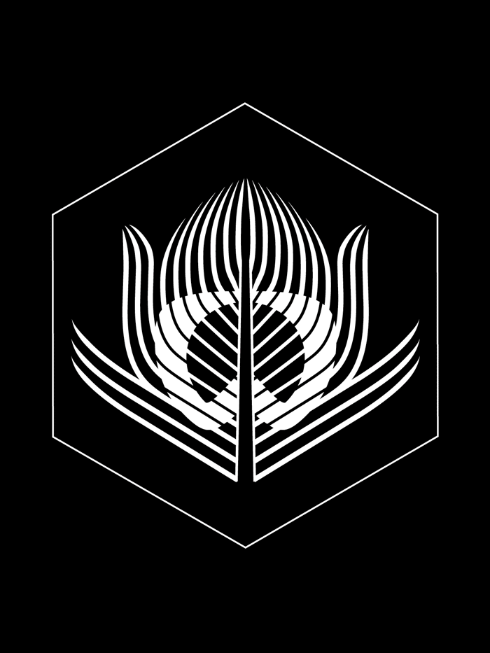 SOFT OPENING - JULY 1ST - BERENIK BOUTIQUE N.Y.