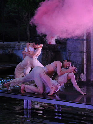 SWANLAKE - ROSENGARTEN BERN SWITZERLAND