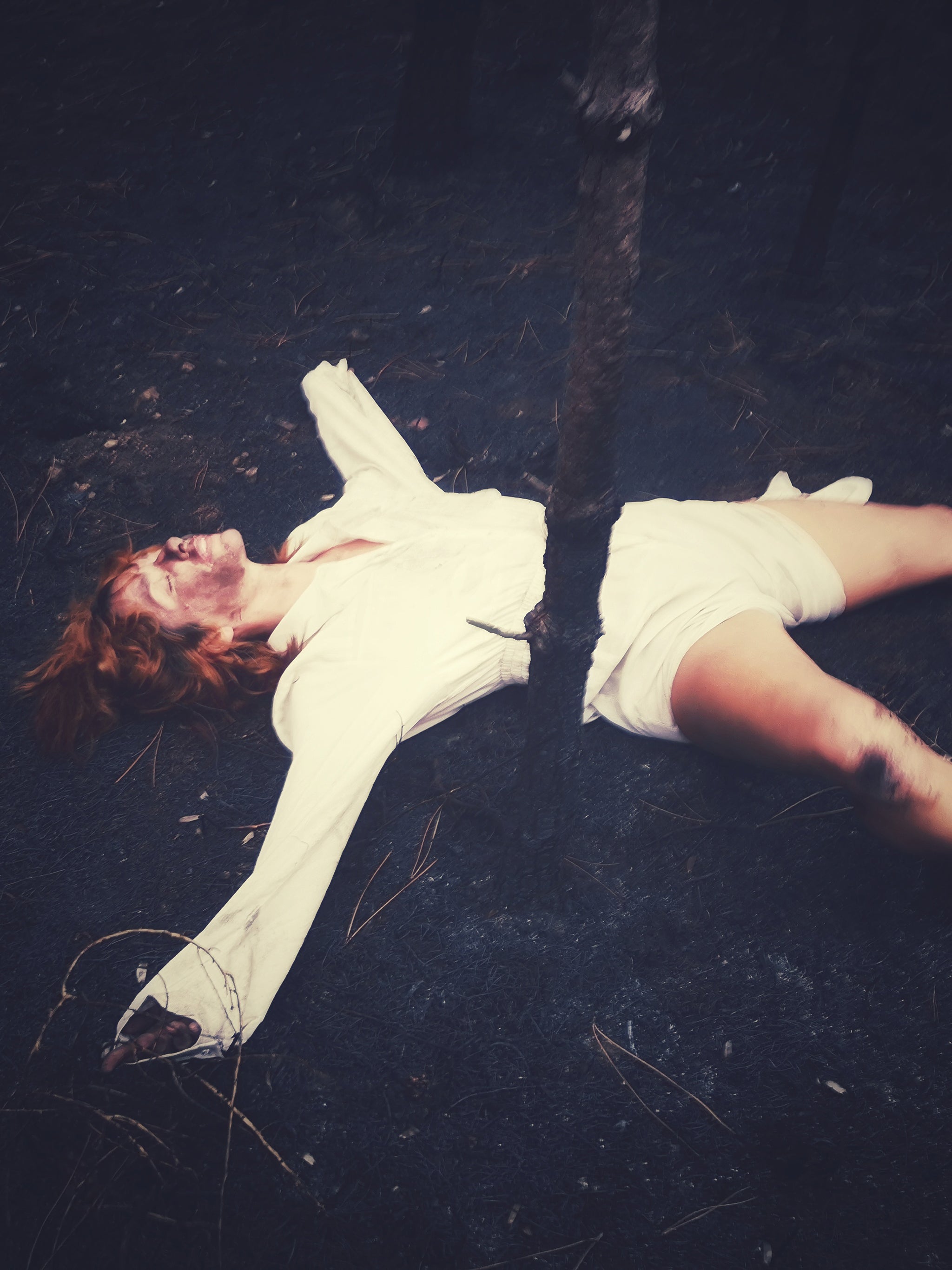 HOMAGE TO ALL THE FORESTS BURNING