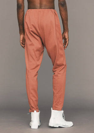 PANTS HIGH WAIST SKINNY - HEAVY STRETCH brick - BERENIK
