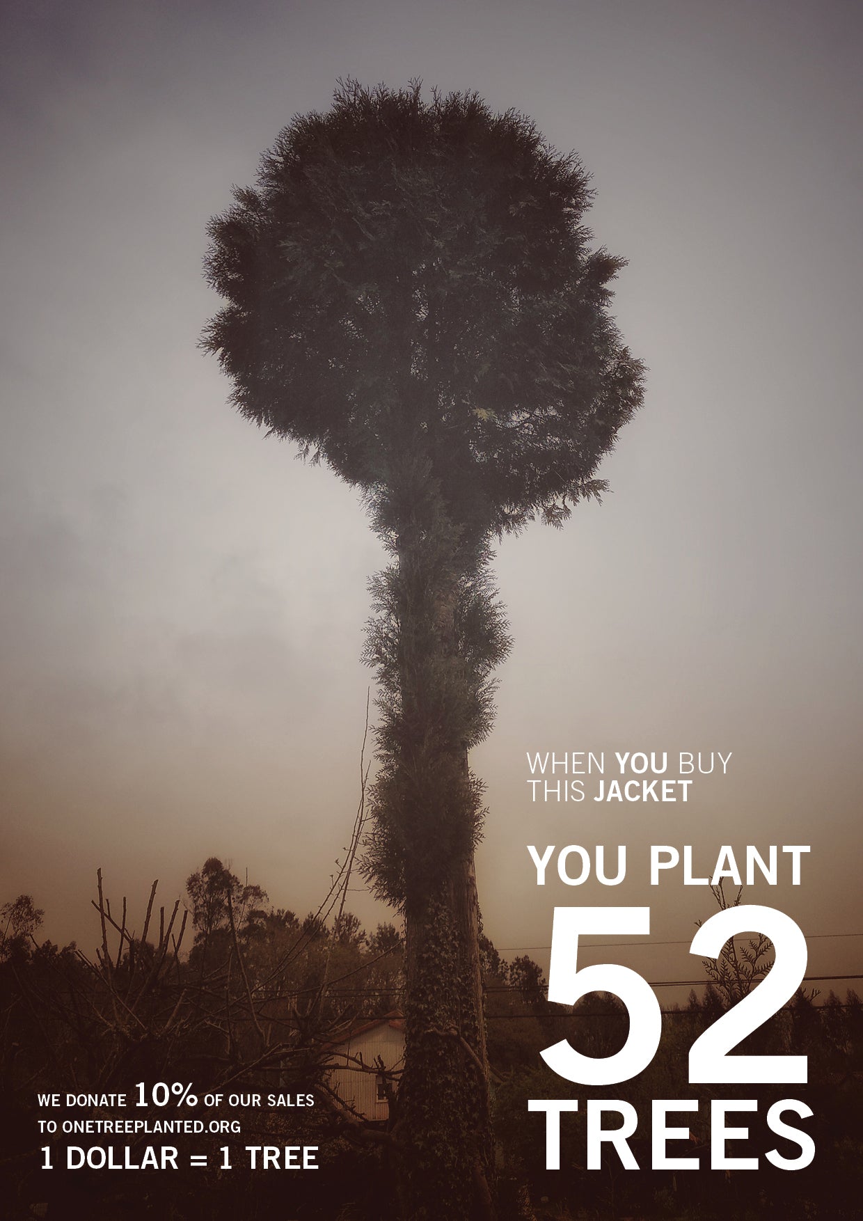 PILOT JACKET - SOFT OUTERWEAR - hazel - BERENIK