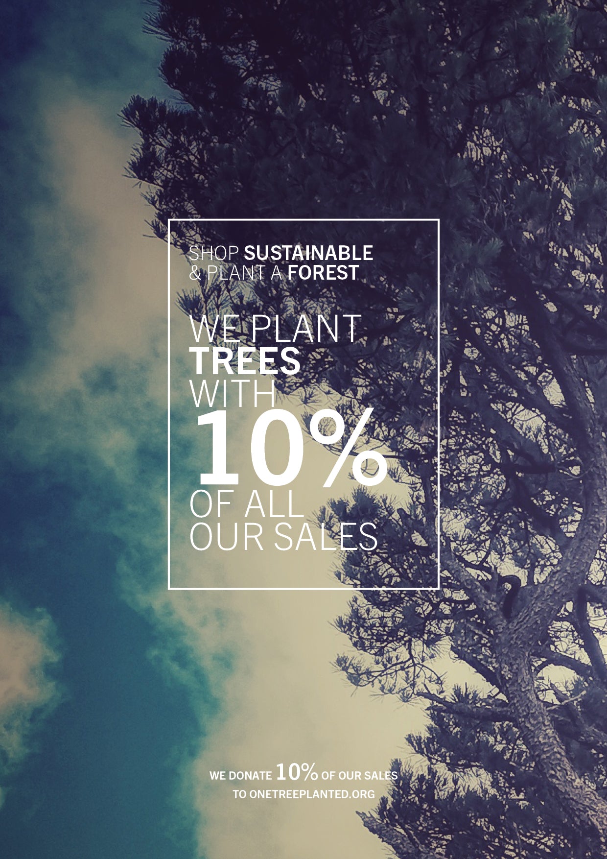 T-SHIRT FEMALE BLACK SHINY/MATT - BERENIK