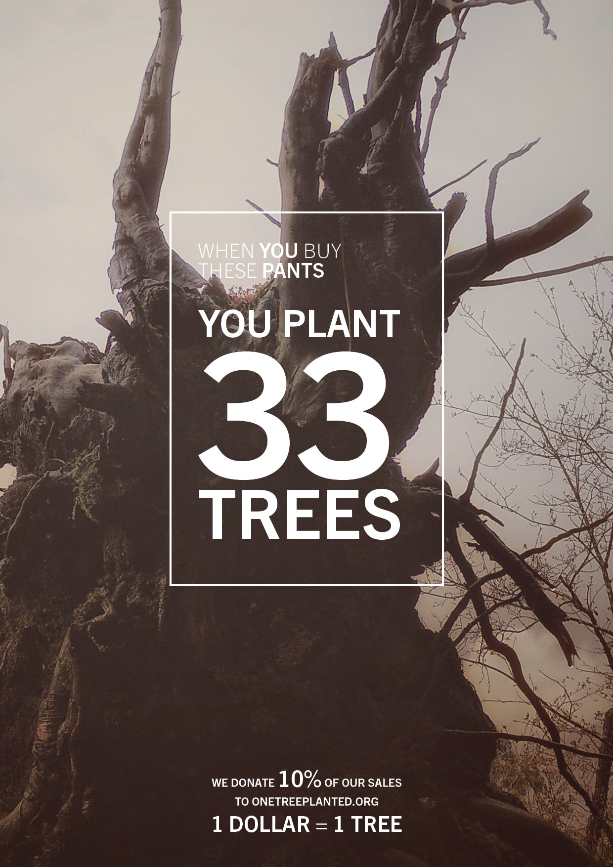 BLOUSE SHORT SLEEVES - SHINY/MESH black - BERENIK