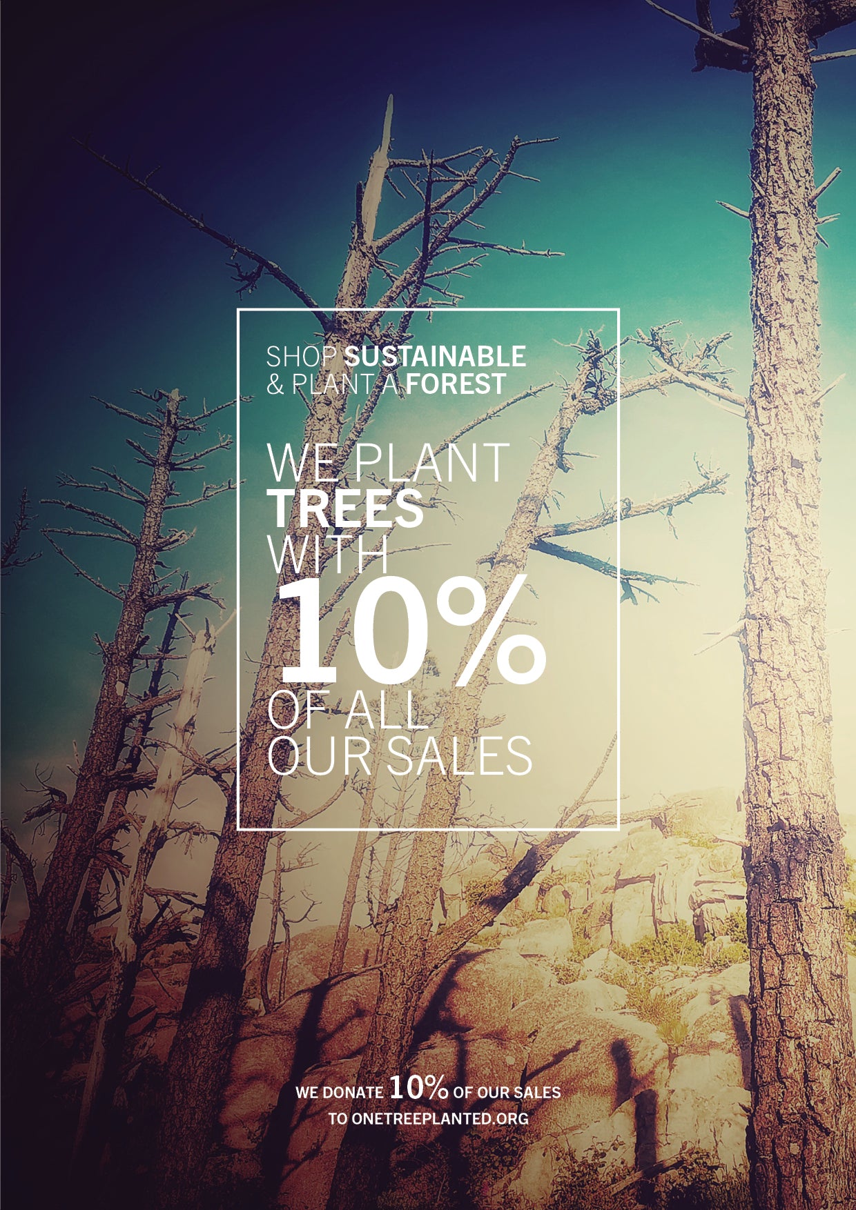 BLOUSE SHORT SLEEVES - THIN DRAPING black - BERENIK